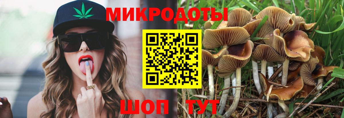 Псилоцибиновые грибы прущие грибы  Галлюциногенные грибы Psilocybine cubensis  Тобольск  Вход с VPN 